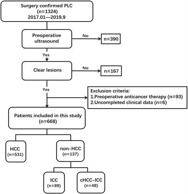 Ultrasound-Based Radiomics Analysis for Preoperatively Predicting Different Histopathological Subtypes of Primary Liver Cancer